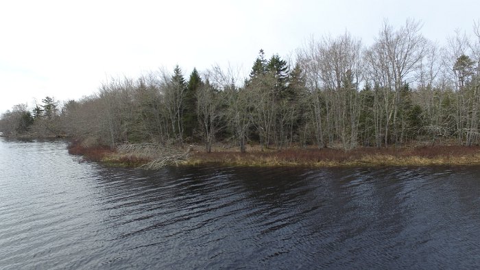 WentworthHalbinsel (85)